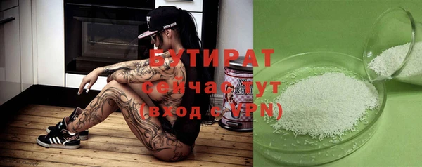 индика Мегион