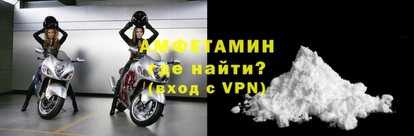 индика Мегион