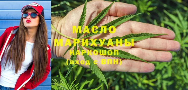 индика Мегион