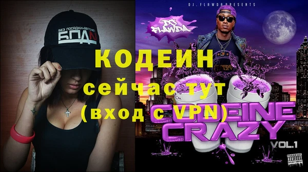 индика Мегион