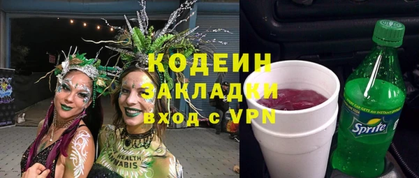 индика Мегион