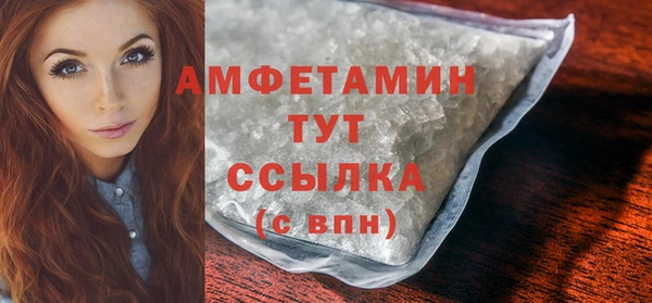 индика Мегион