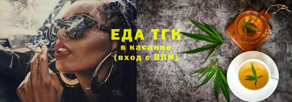 индика Мегион