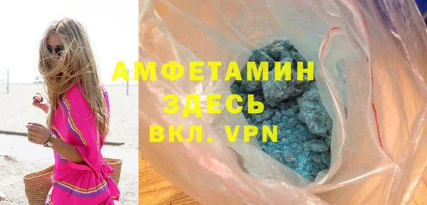 индика Мегион