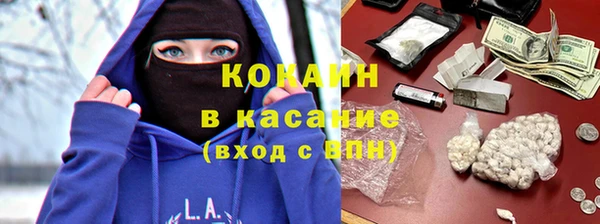 индика Мегион