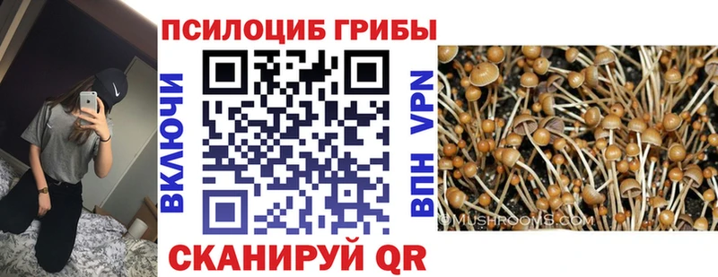 Псилоцибиновые грибы мухоморы  Сольцы 